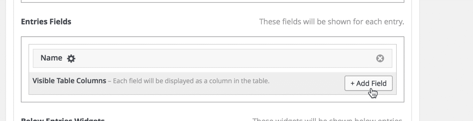 Add Field button clicked to include a new entry column in the Visible Table Columns section