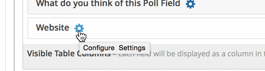 Image from Article: Shortening the displayed URL in a Website field