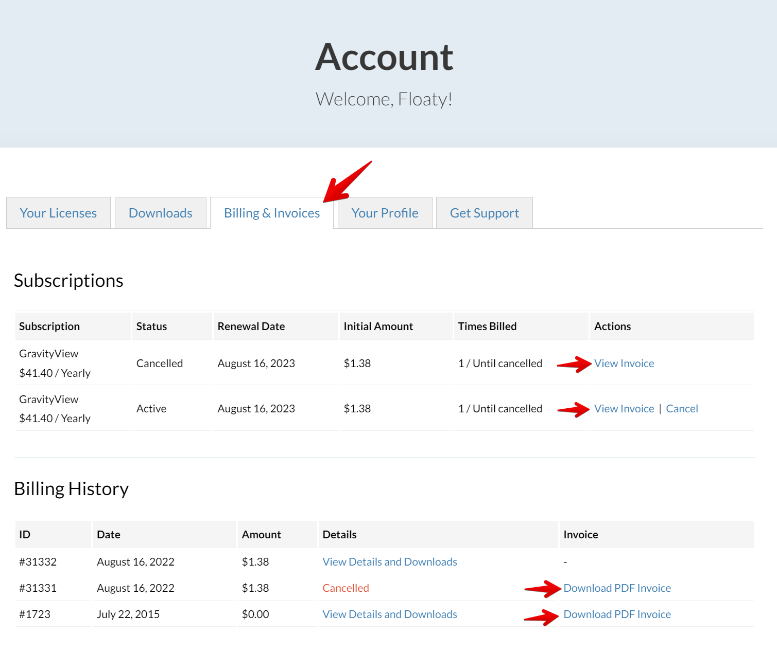 Billing and invoices page with options to view or download invoices