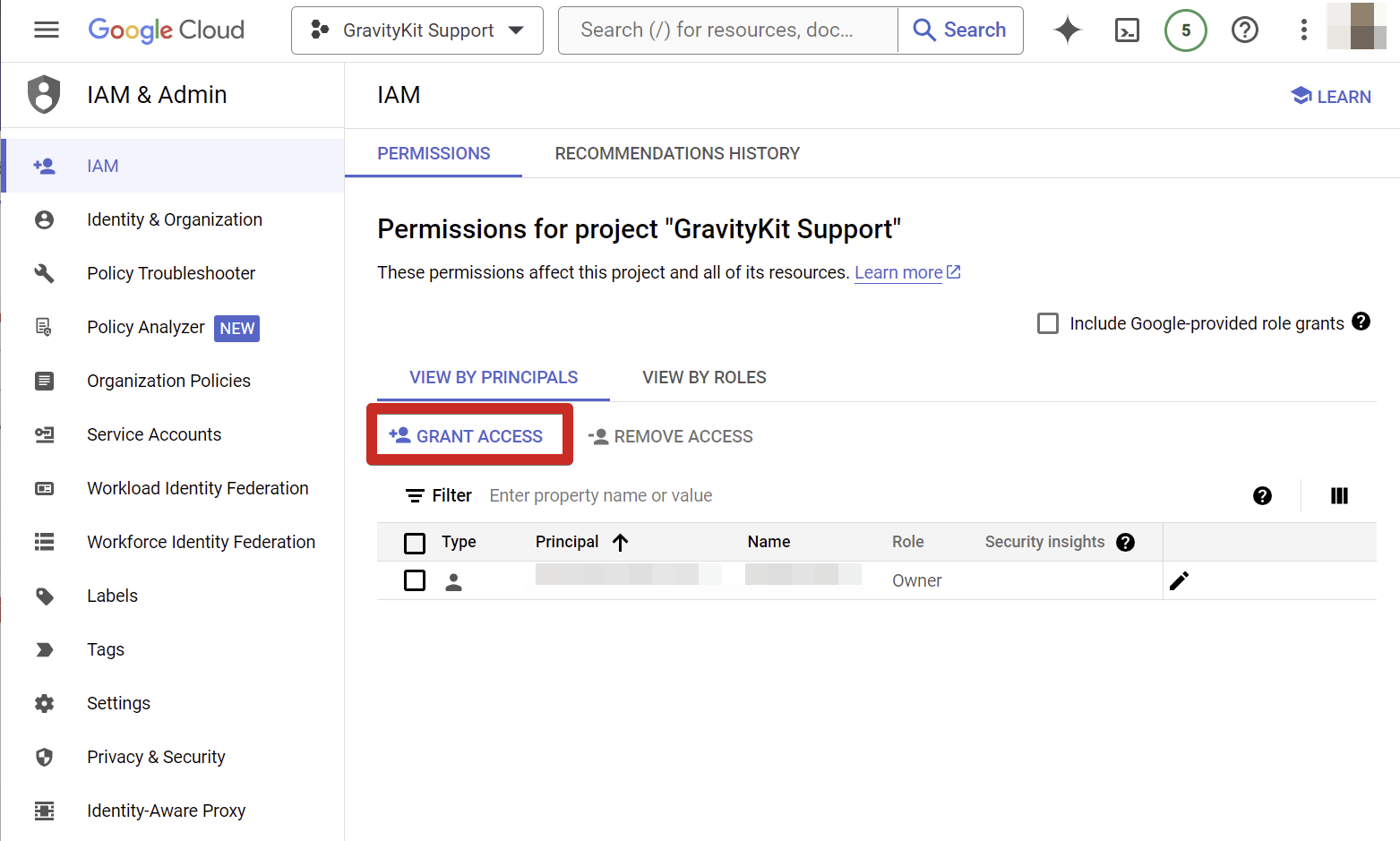 Grant access to GravityKit Support project in Google Cloud IAM settings
