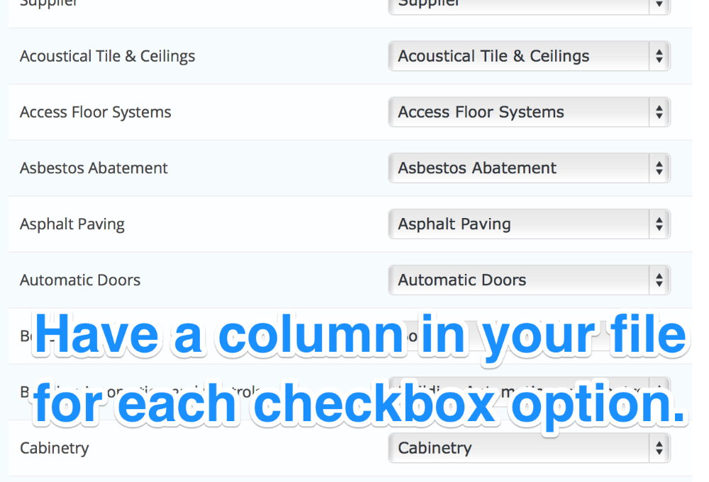 Have a column in your file for each checkbox option.