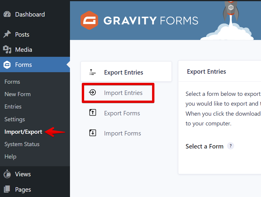 Screenshot of the Import/Export page of Gravity Forms