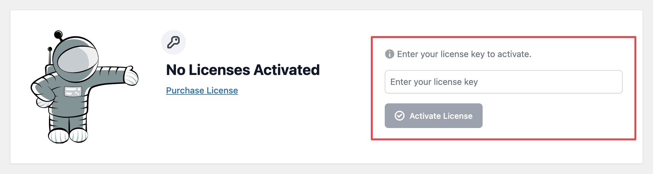 No licenses activated message with input field to enter and activate a license key