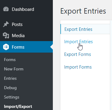 Opening the Gravity Forms Import/Export page