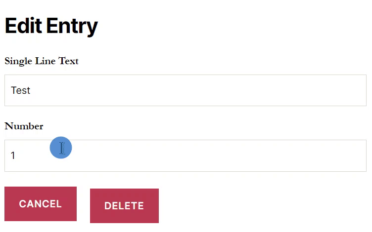 Edit Entry page with Cancel and Delete buttons, missing Update button