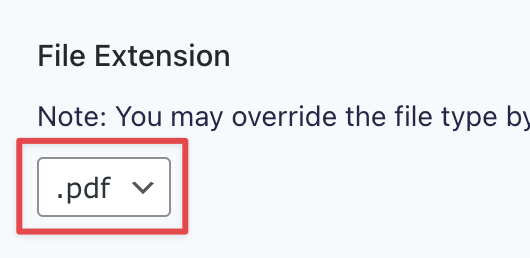 File extension dropdown set to PDF, option to override file type