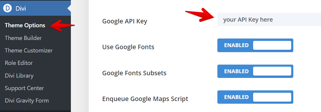 Divi Theme Options showing where to add Google API Key and enable related features