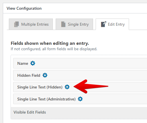 Edit Entry view showing hidden fields like "Single Line Text" for editing visibility settings