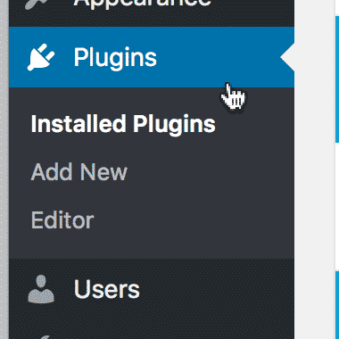 Clicking "Plugins" in the WordPress dashboard menu for plugin management options