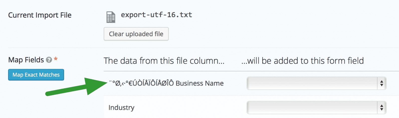 Uploaded CSV file with incorrect text encoding being mapped to form fields